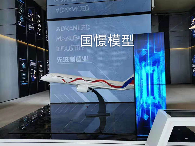 唐山飞机模型