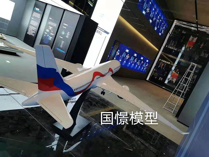 唐山飞机模型
